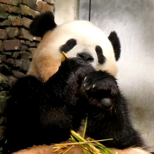美添爱奇迹（拒私聊）