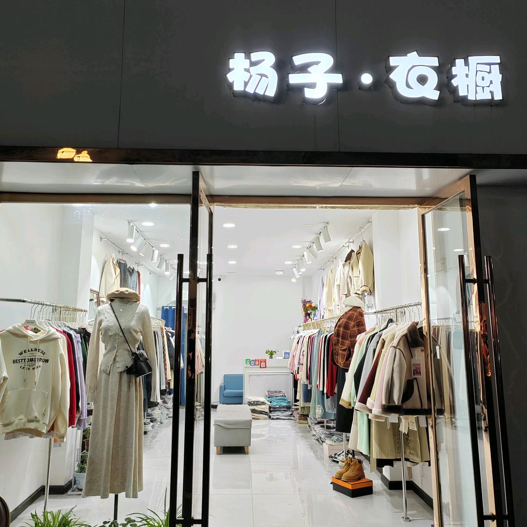 杨子.衣橱