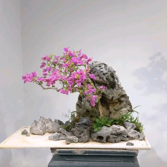 坠落凡间
