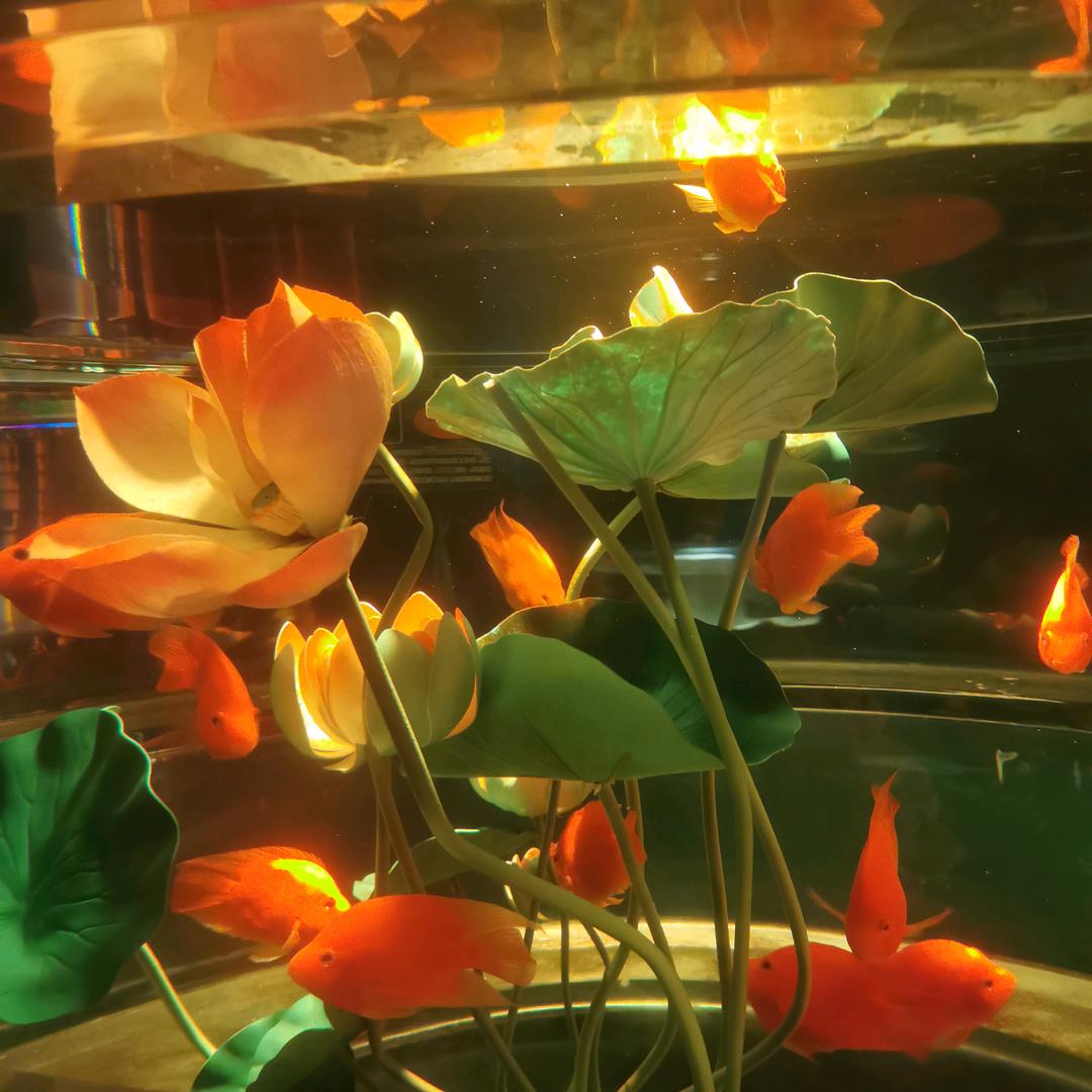 🥰🥰🥰☺️☺️☺️☺️😘😘