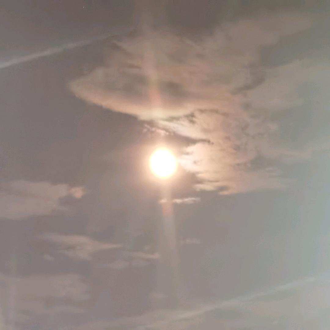 新新