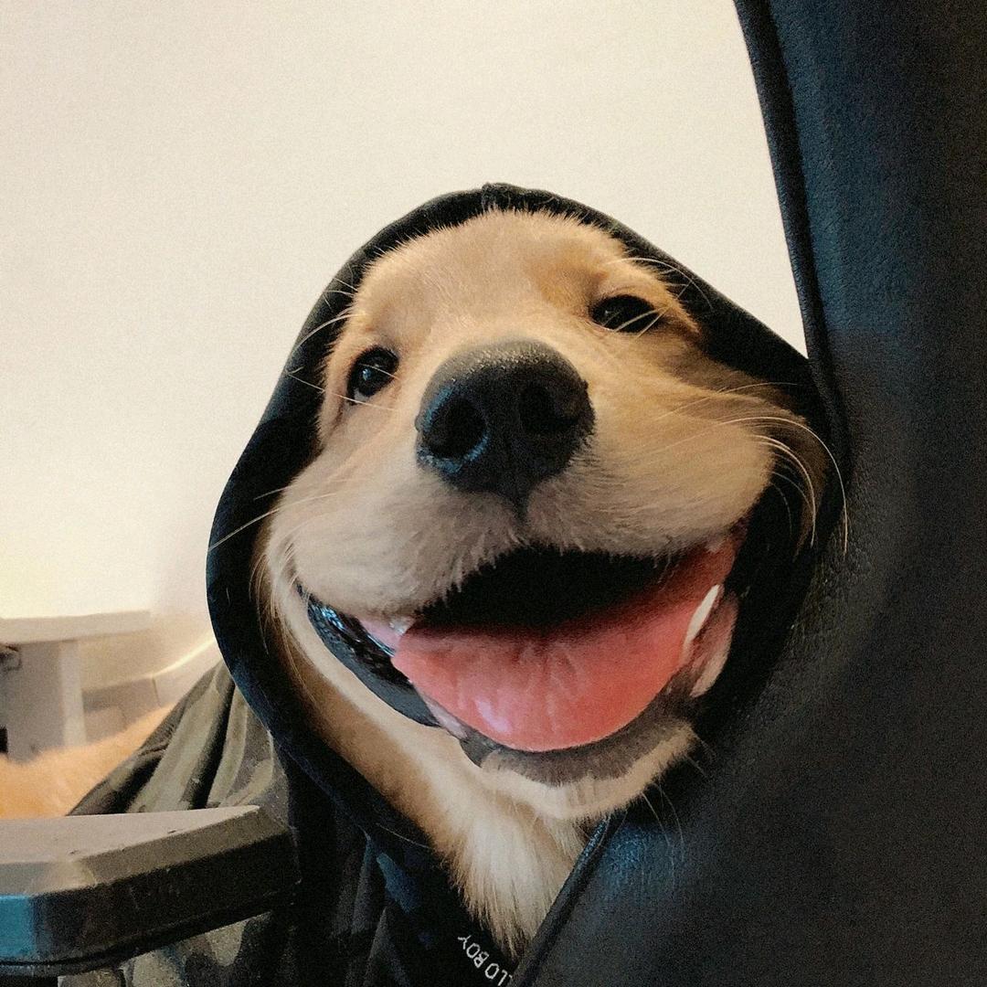 好势