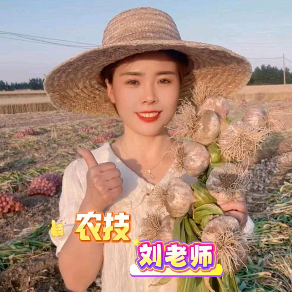 通许张亮农业