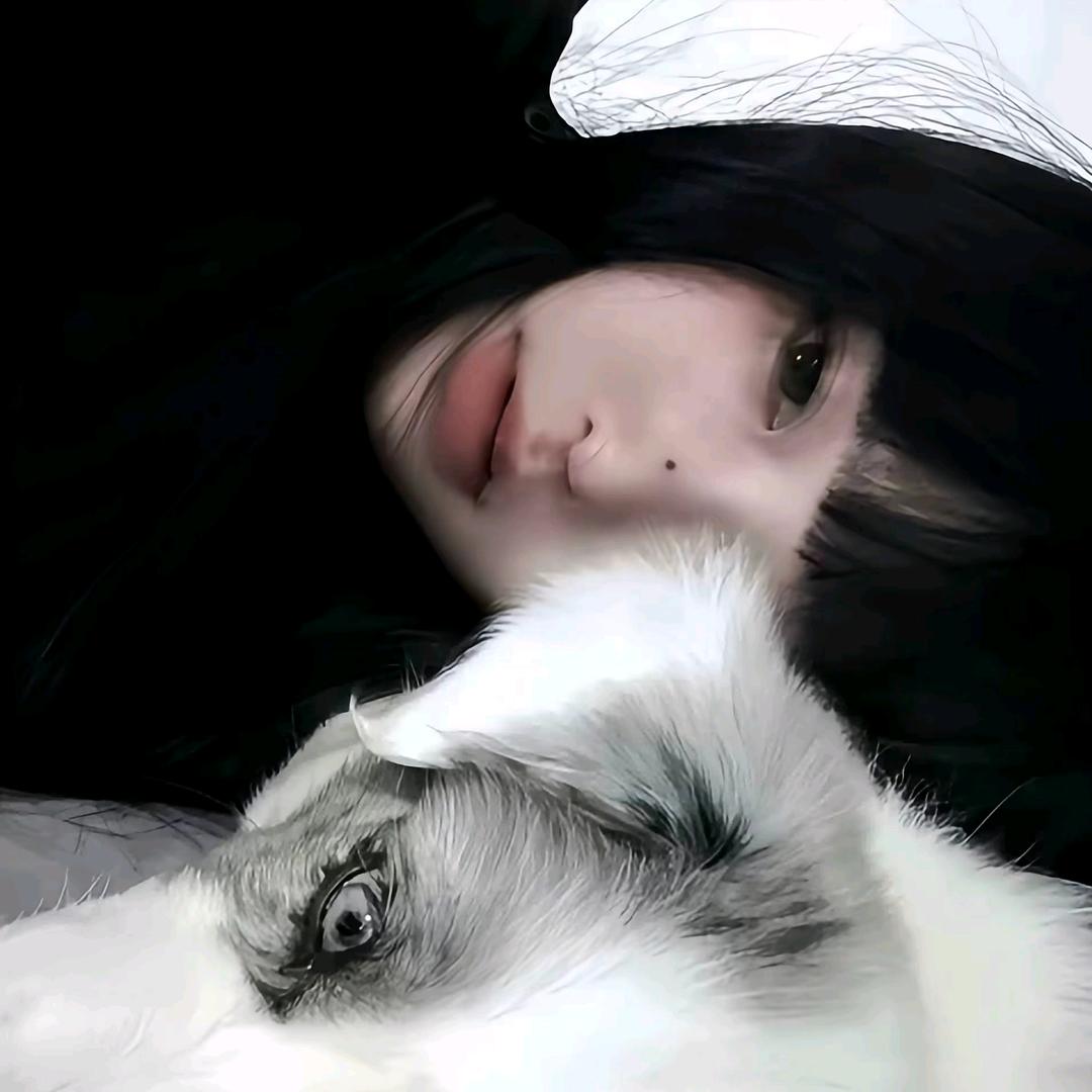 牛小牛🌷