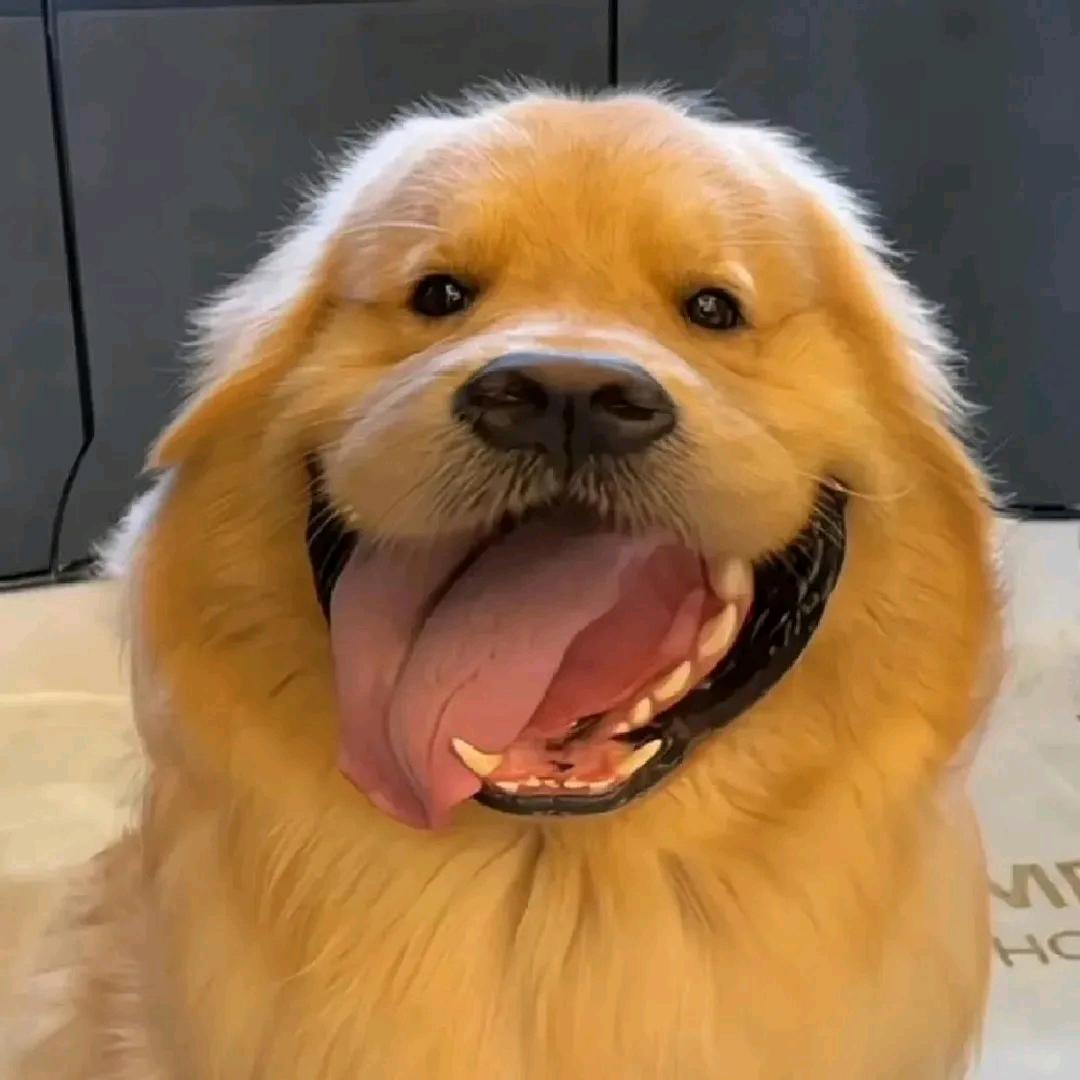 ~我偷偷摸摸的来你们看不见~