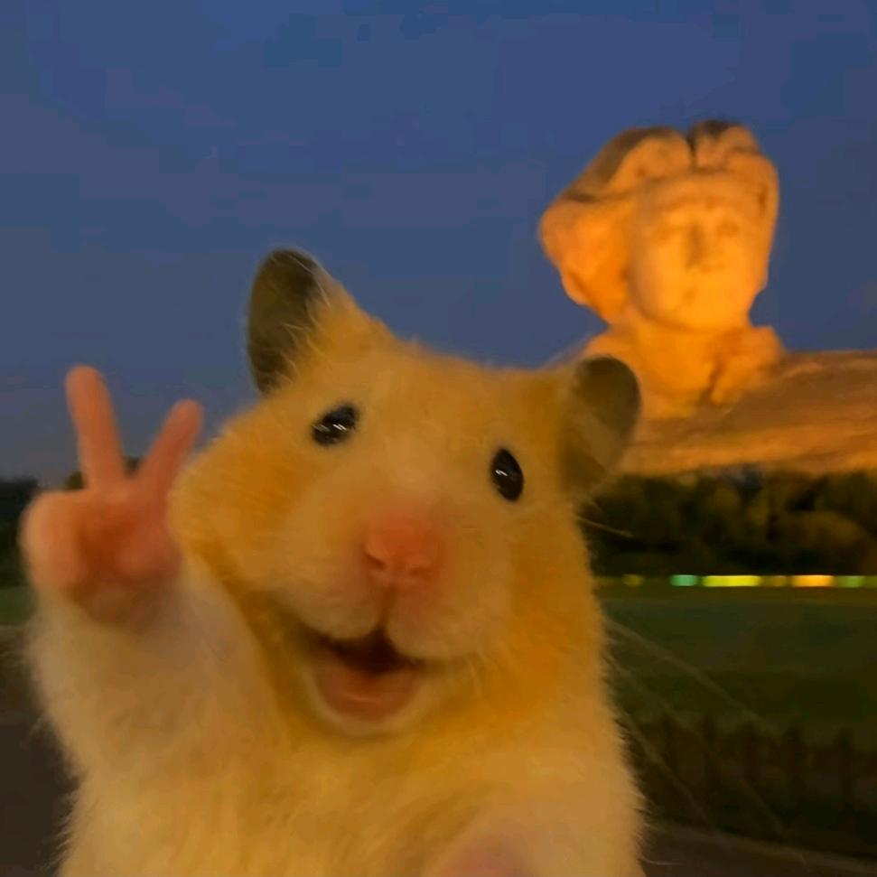 🐒