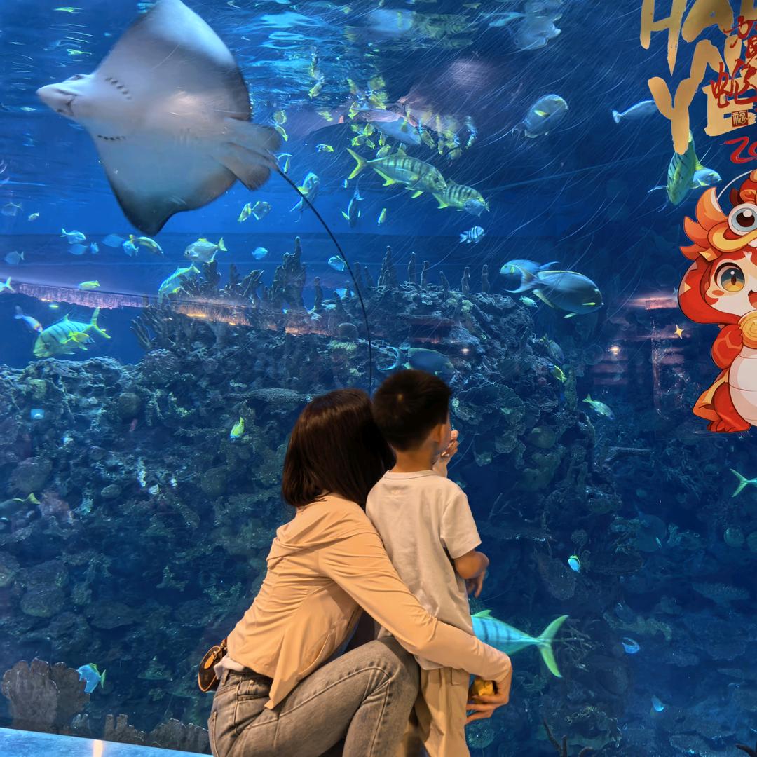 不吵不闹不炫耀、