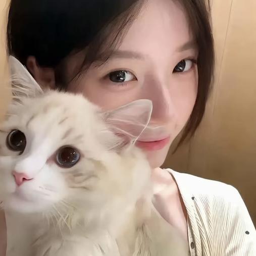 小琪...