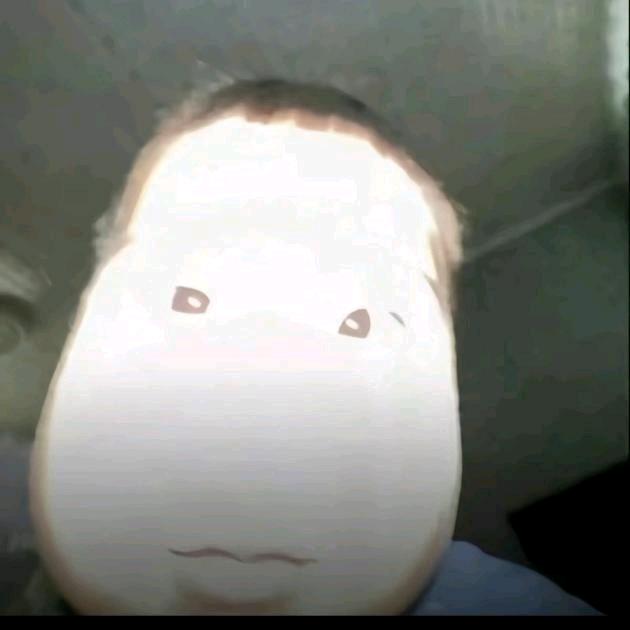 鹏辉