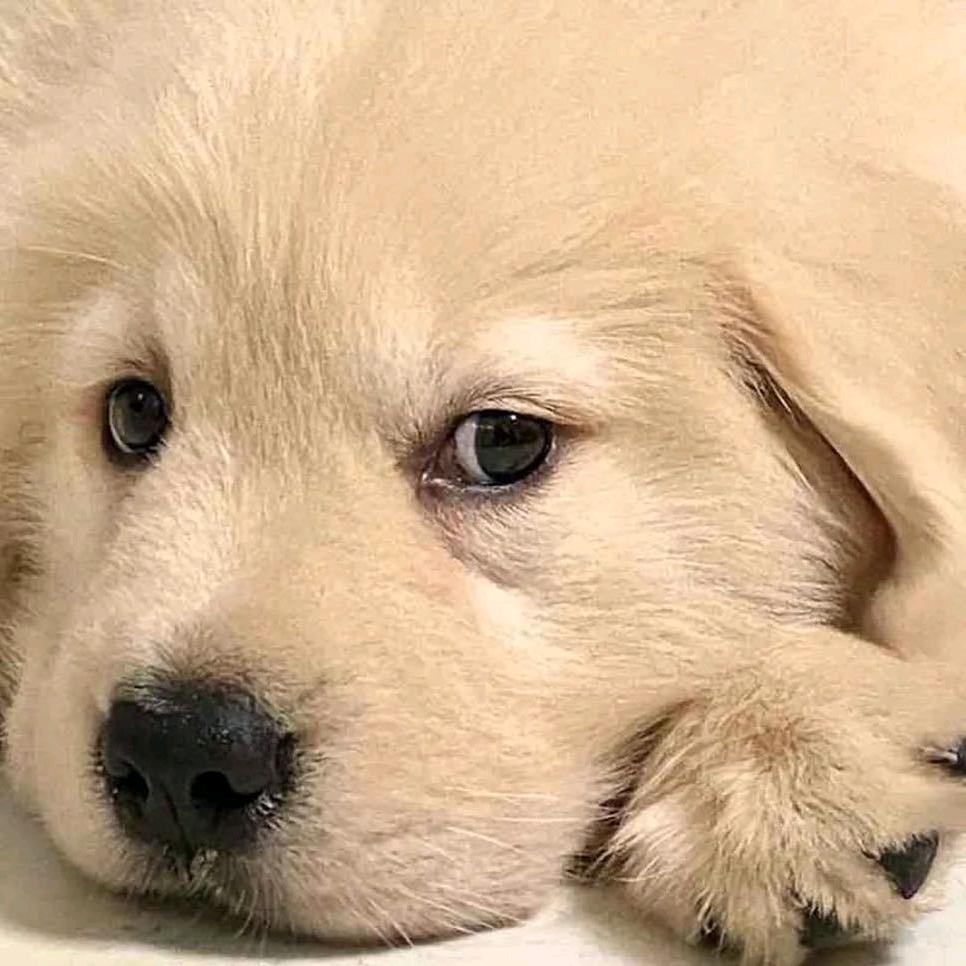 我太🇨🇳难了