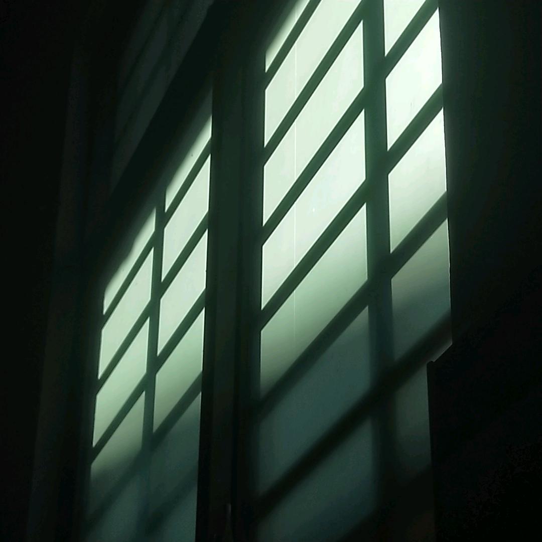 谢老板，广东亮仔