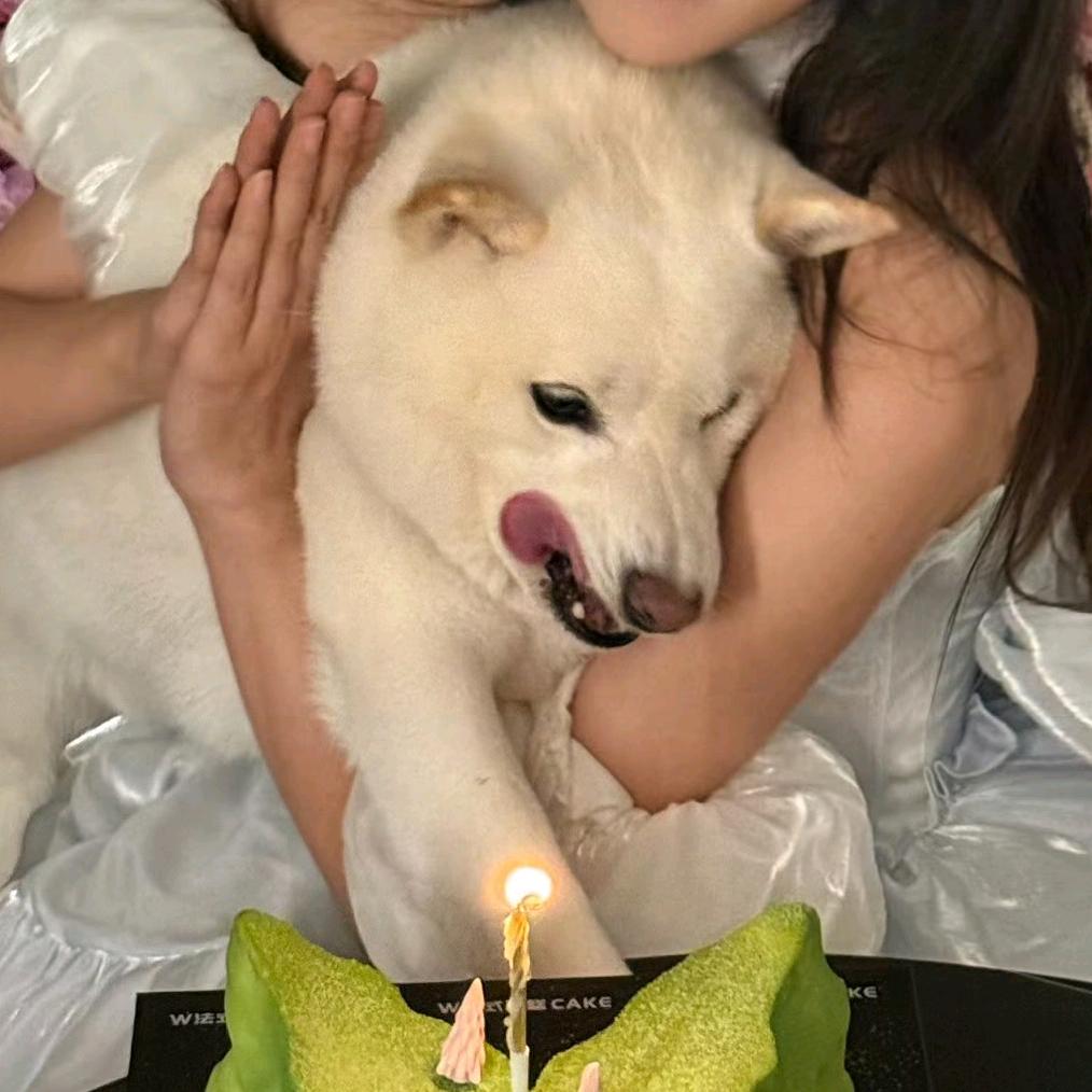 水澄桂萼