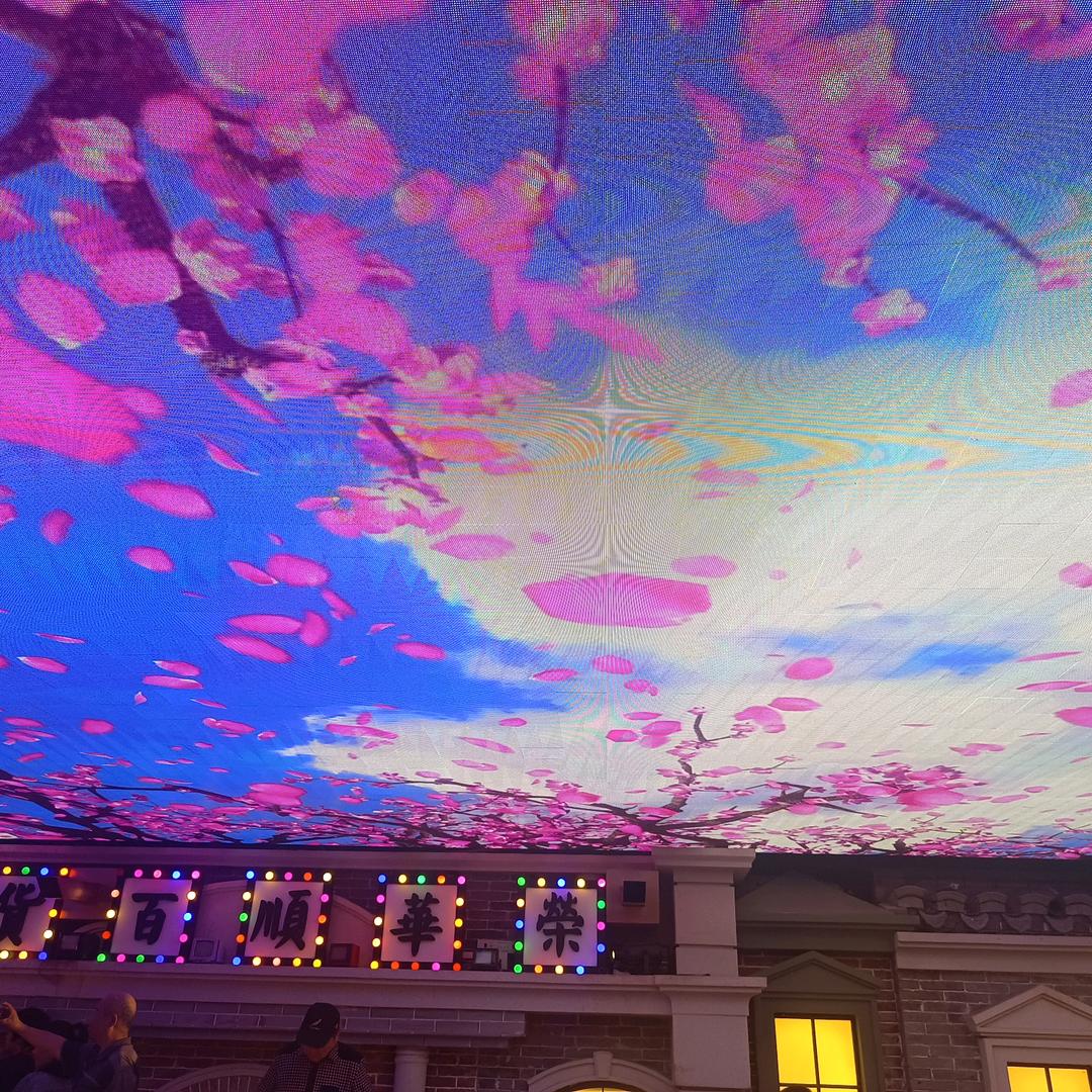 阿娟的农村生活