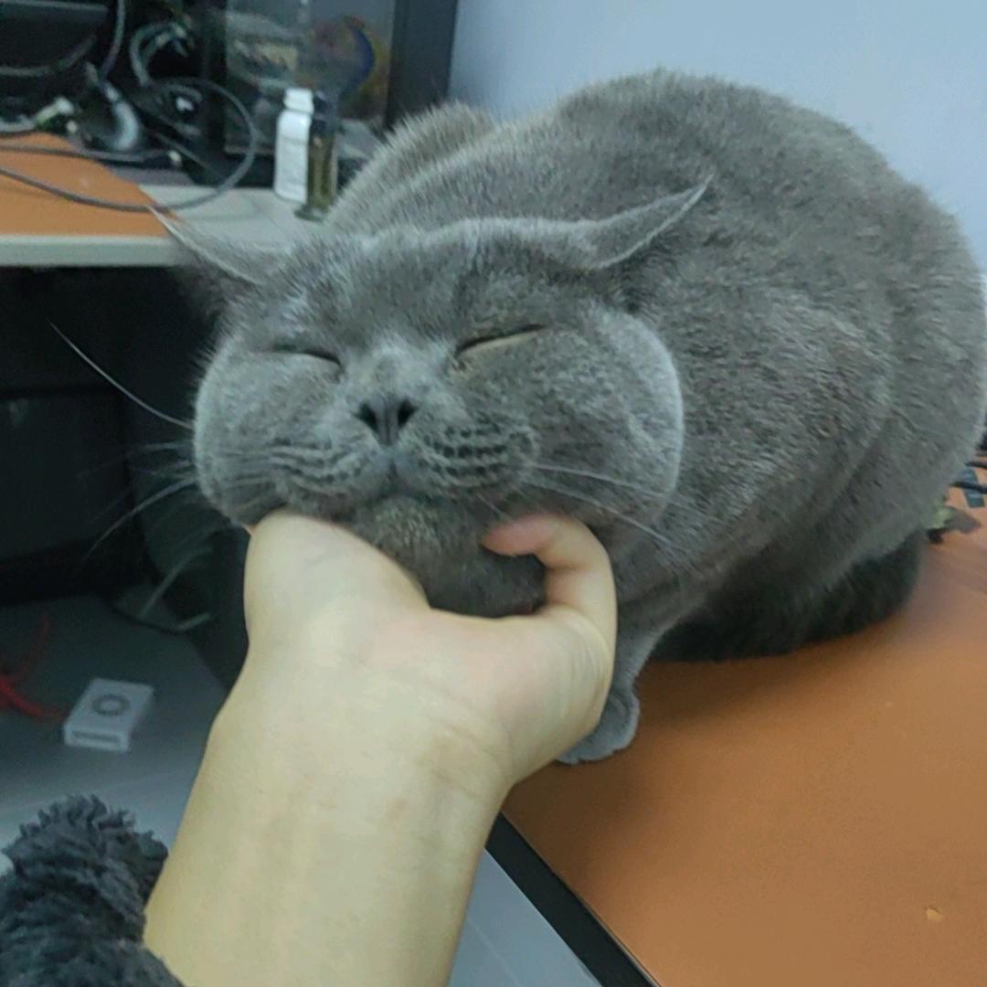 安全总煎（三角洲行动）