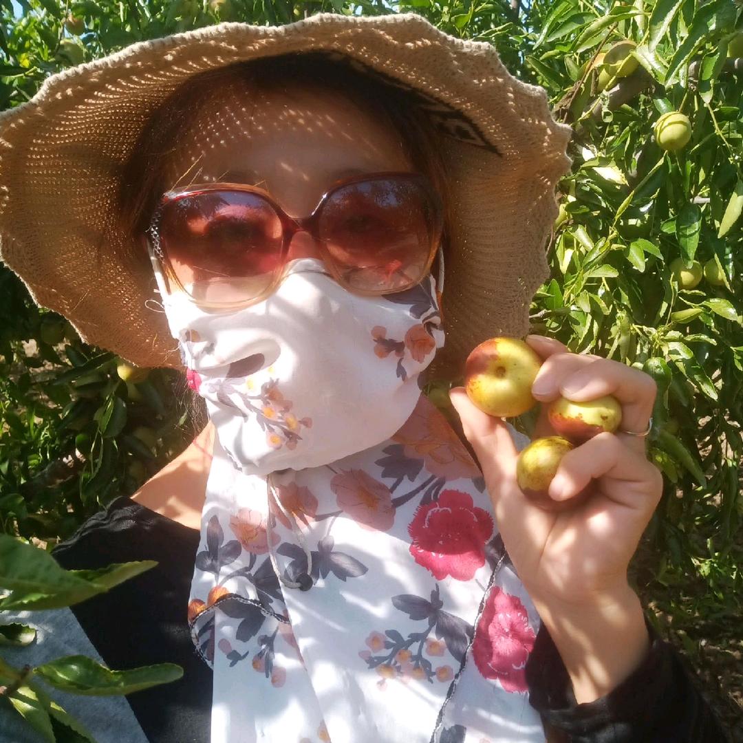 若菲干鲜水果店