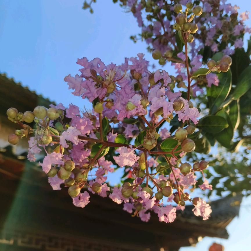 清玥～旅行记💋