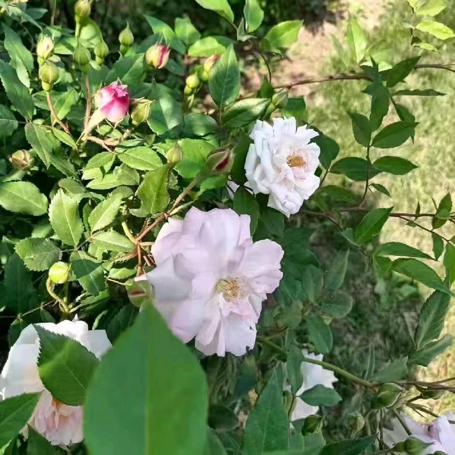 只🌺能🌸爱🌼自🌻己