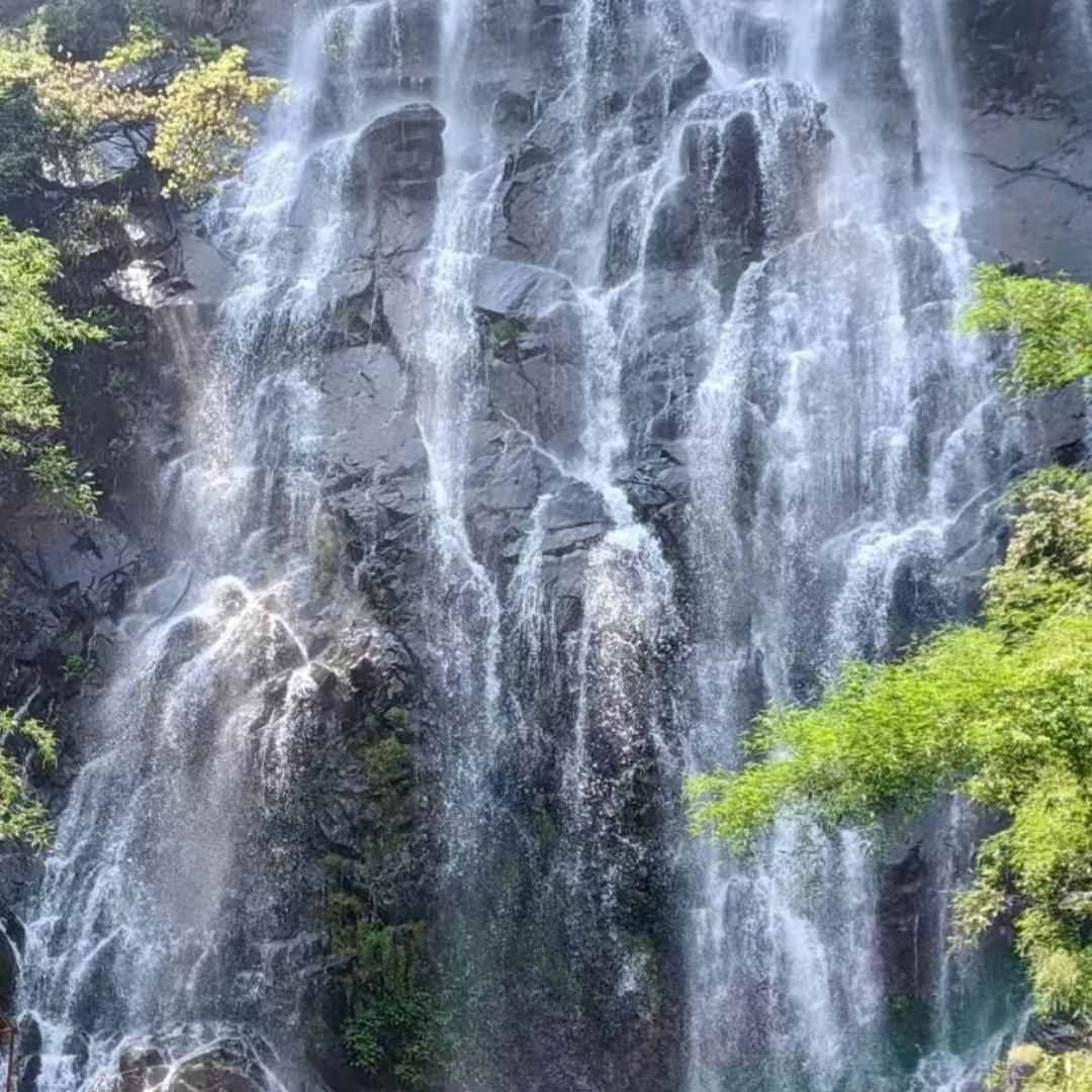 易易直播特惠