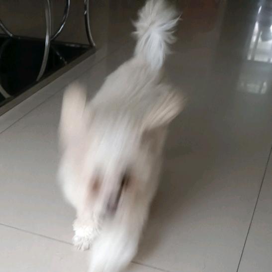 规范