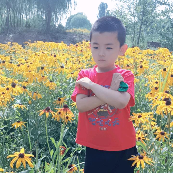 喜羊羊
