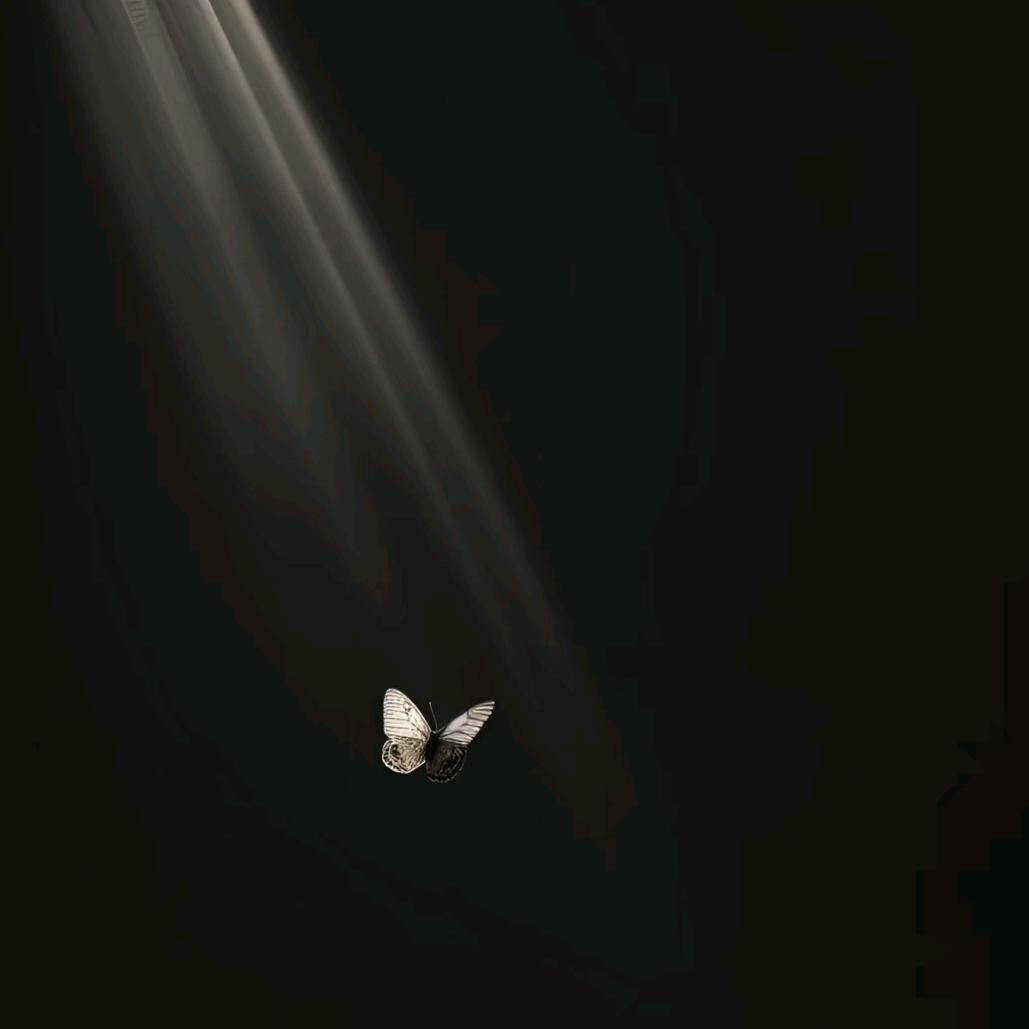 无妄生欢。