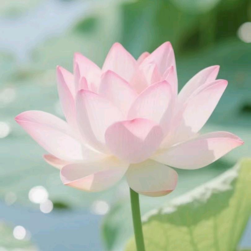 龚卓本崴科技严选店