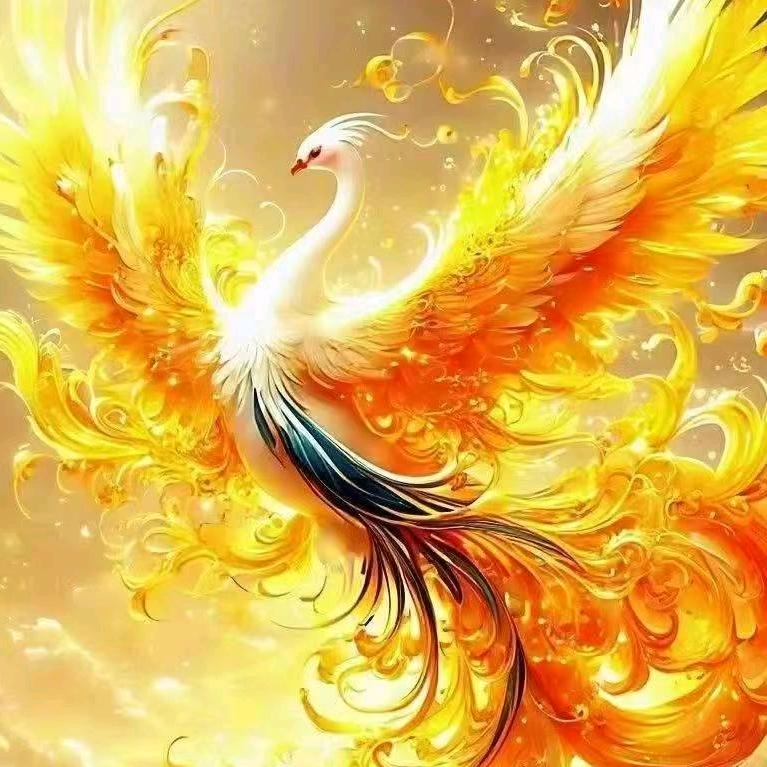 不推销的皮肤管家