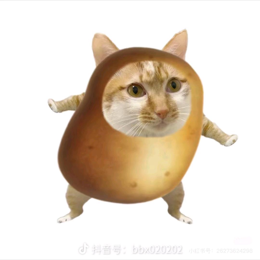 坚持啊