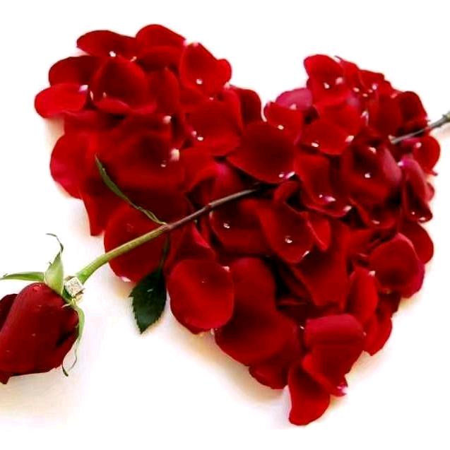 梦琪🌹🍀⁶¹⁷