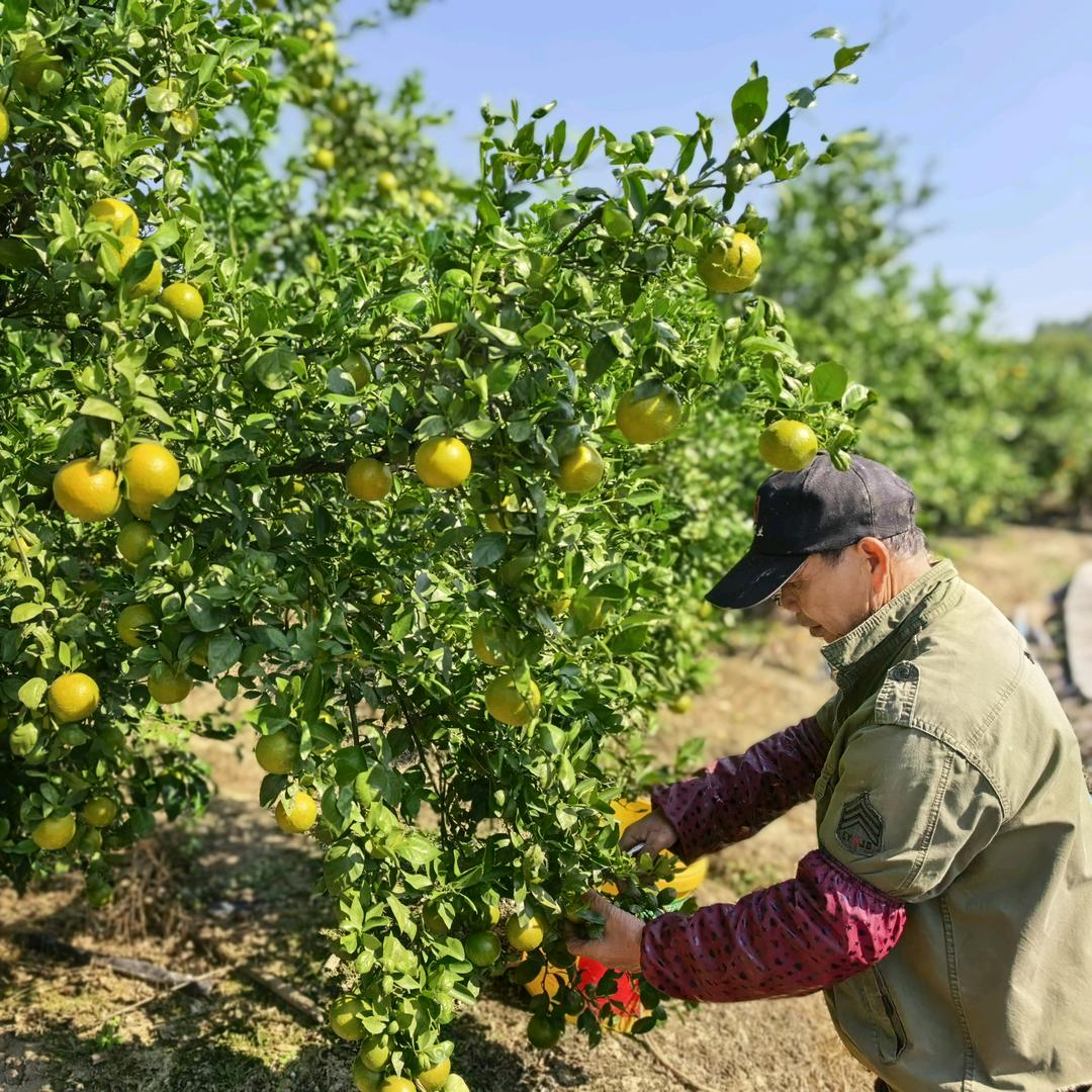 依恋宠儿食品个体店