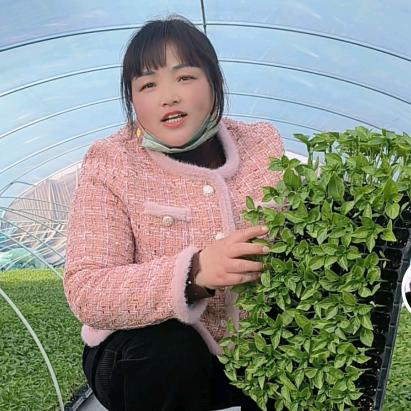 青青绿植家园