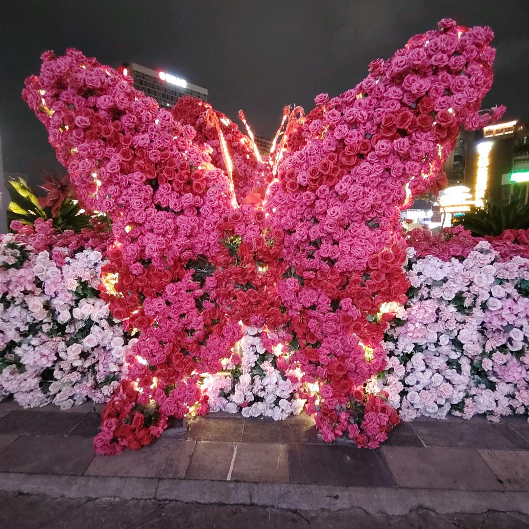 姐的忧伤，你不懂