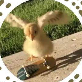 深藏Blue的菜鸡🐔