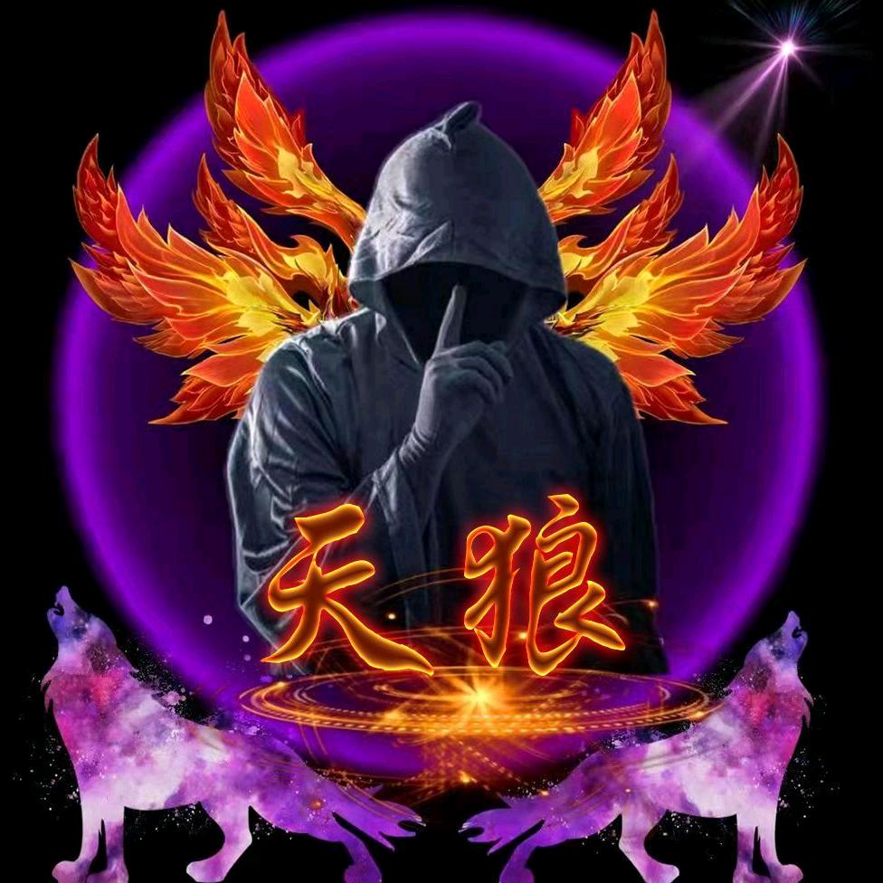 ㅤ迷彩🇨🇳天狼