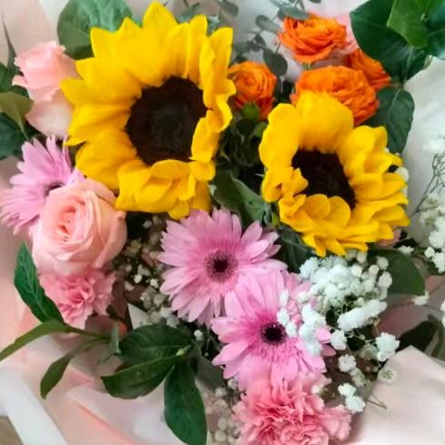 宋宋老师美美哒