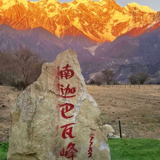 面包工匠。世界古银杏之乡。