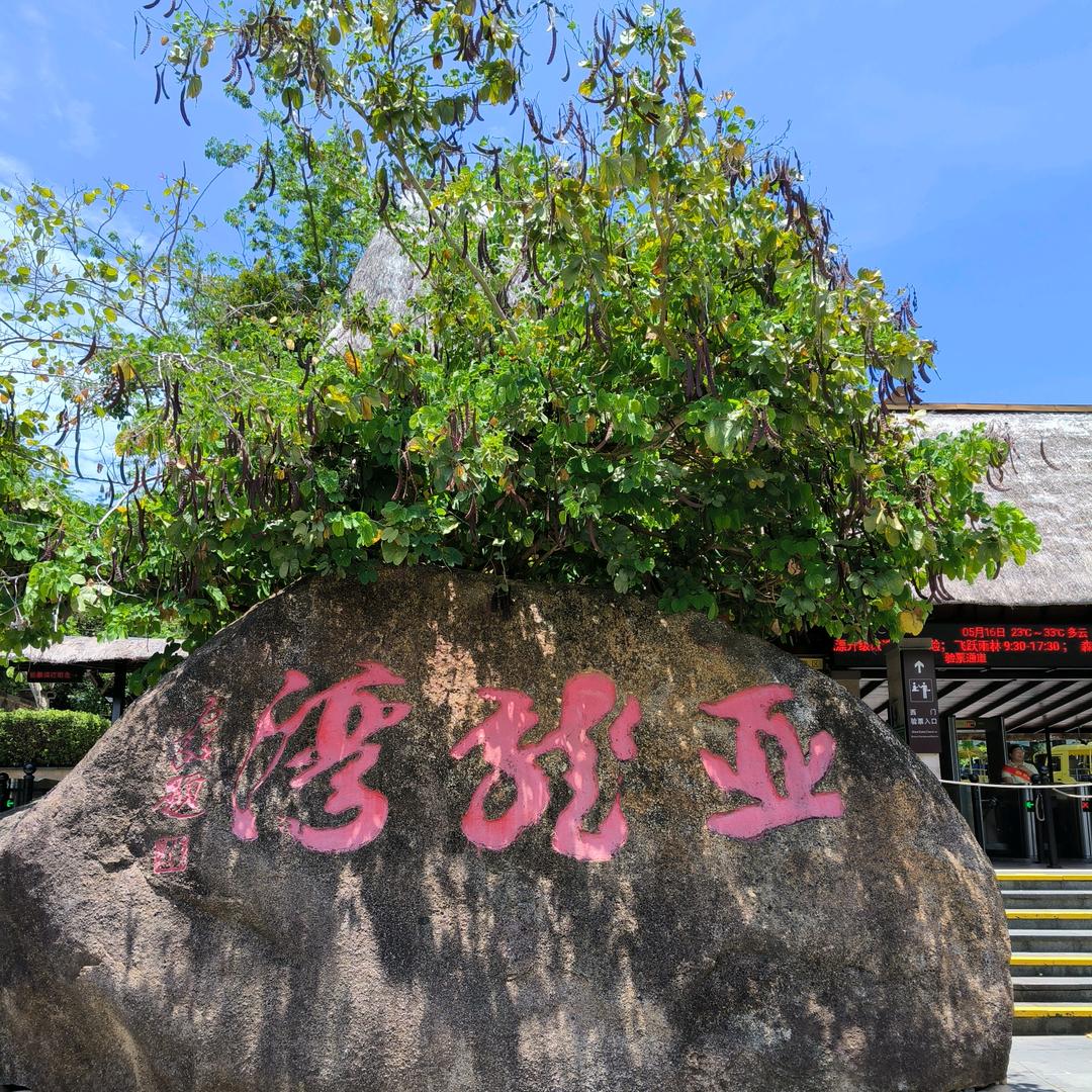 白猫超人丨晴书铁粉(729)