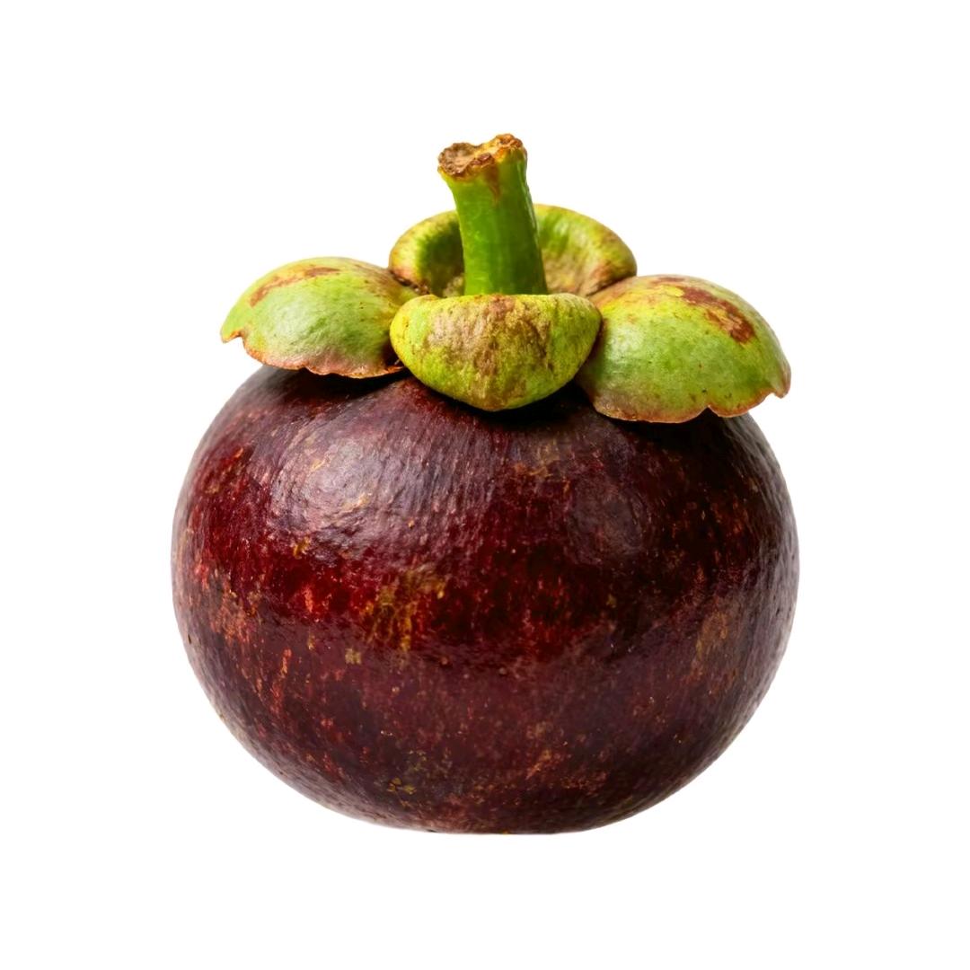 深情悲伤大山竹