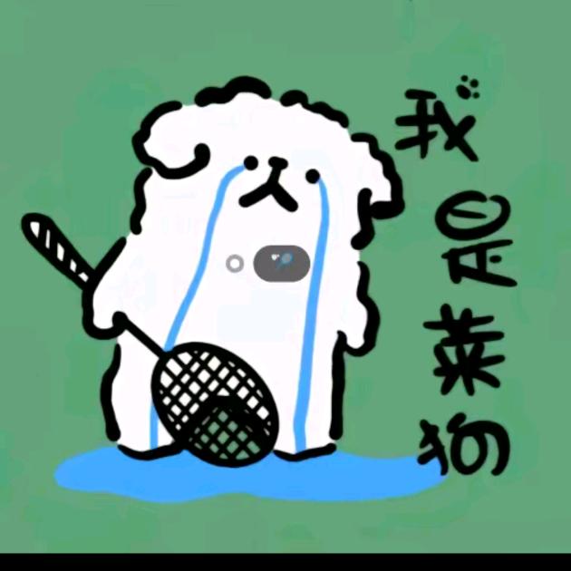 二手羽毛球拍(回收置换)