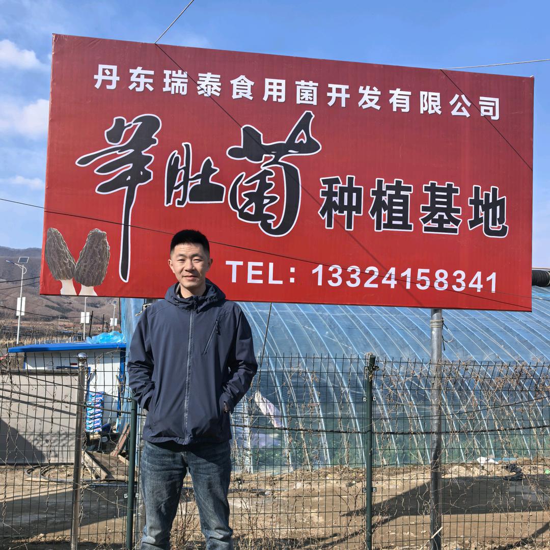 丹东瑞泰菌业