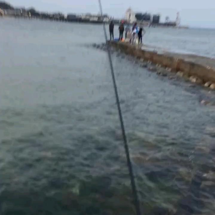325212695412头像