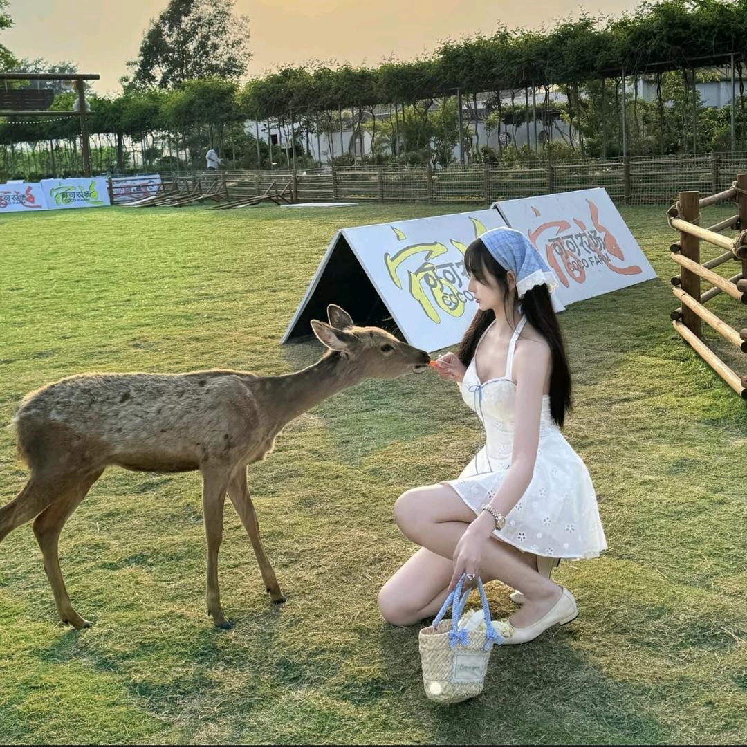 微浪网络（景合场景打造）