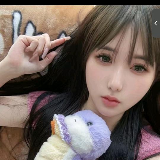 清风半夜鸣蝉