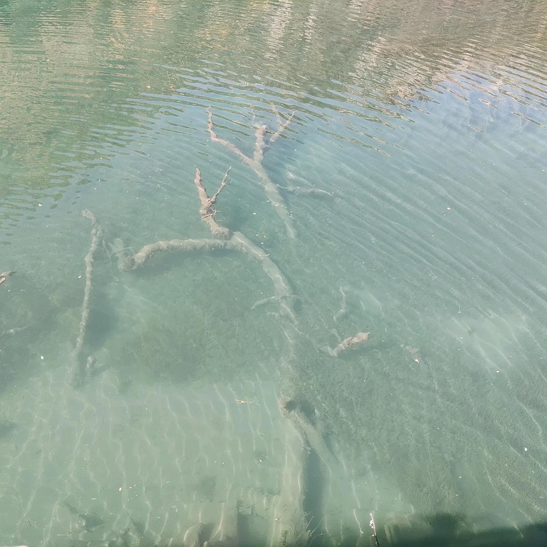 一不小心长成帅哥