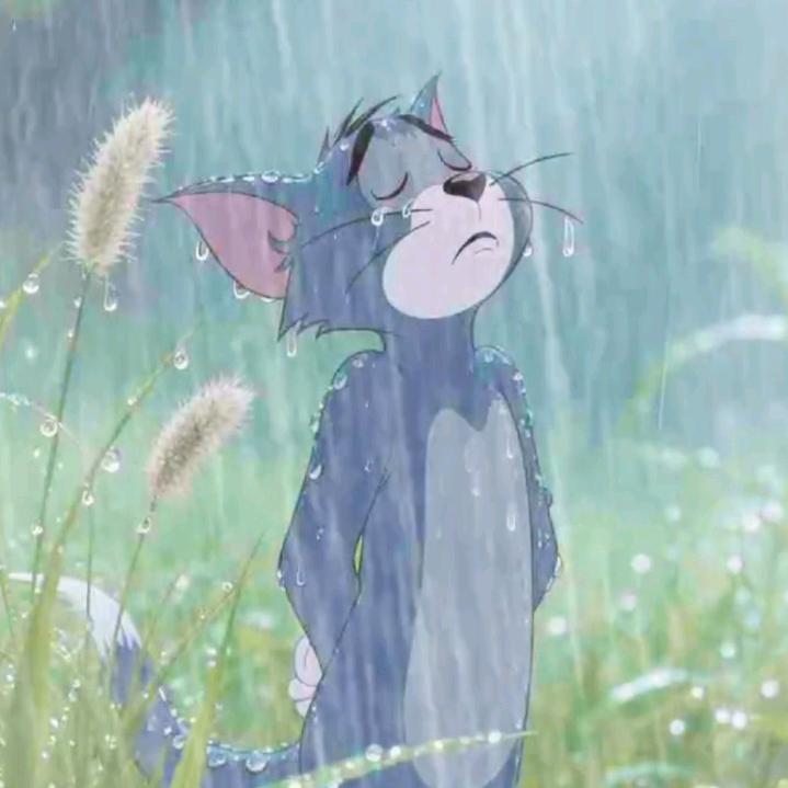 思雨☀️