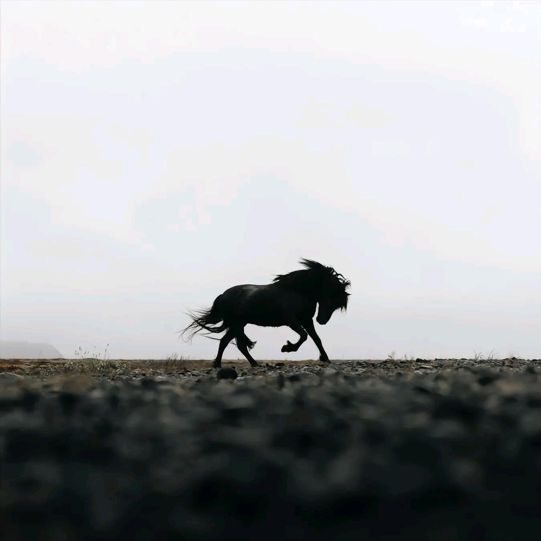 Жаран нэг