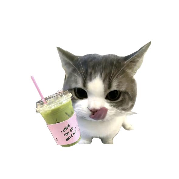 究极宇宙洪荒混沌超级无敌战斗神暴龙兽