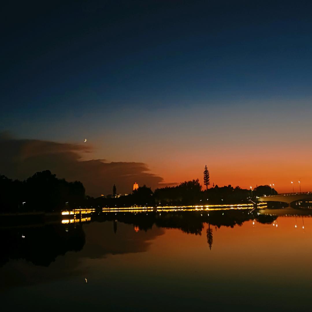 ℬ𝓁ℴℴ𝓂𝒾𝓃ℊ 𝒻𝓁ℴ𝓌