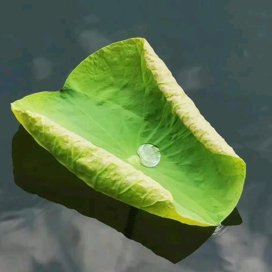 易坤地藏专修