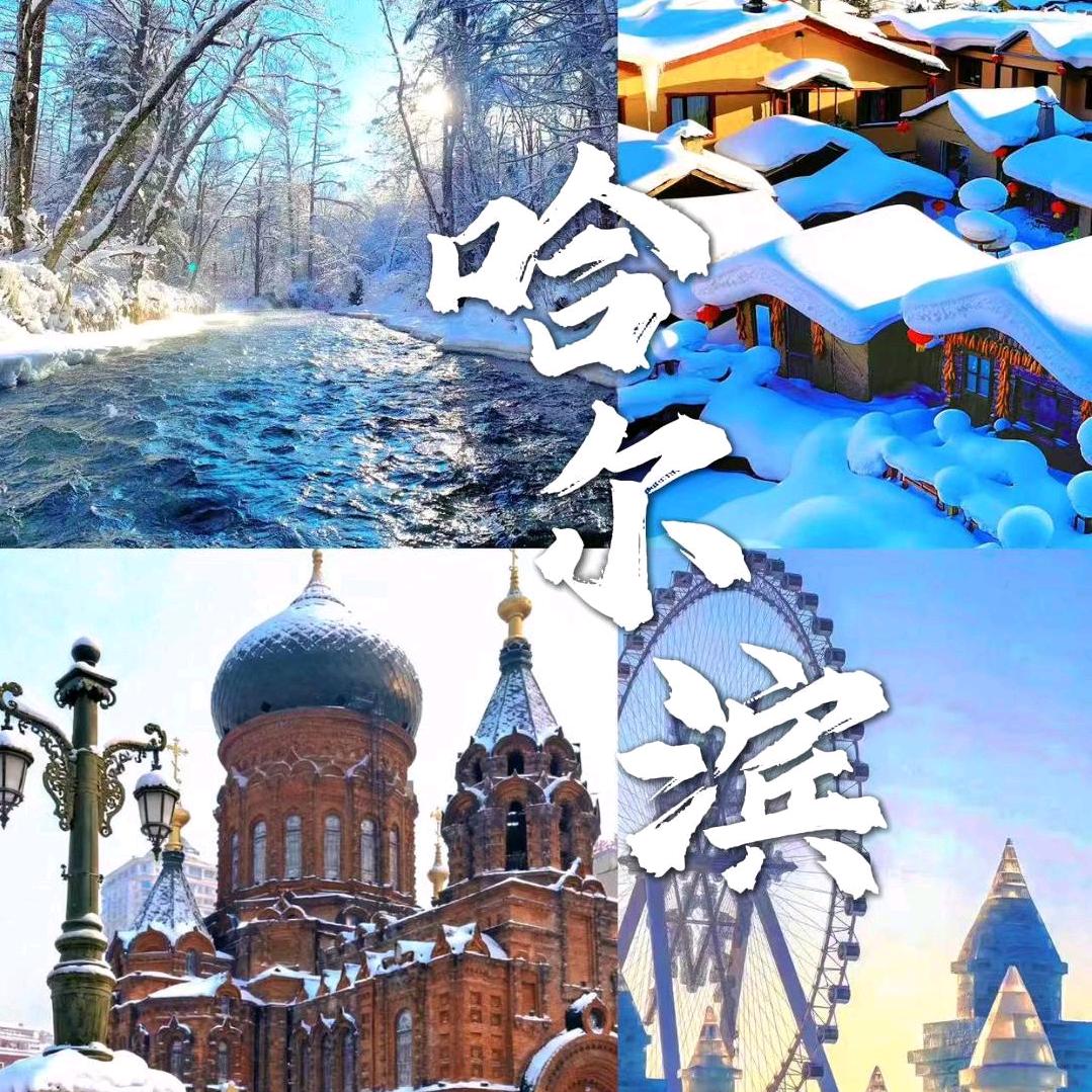 哈尔滨雪乡高端旅游【纯玩】